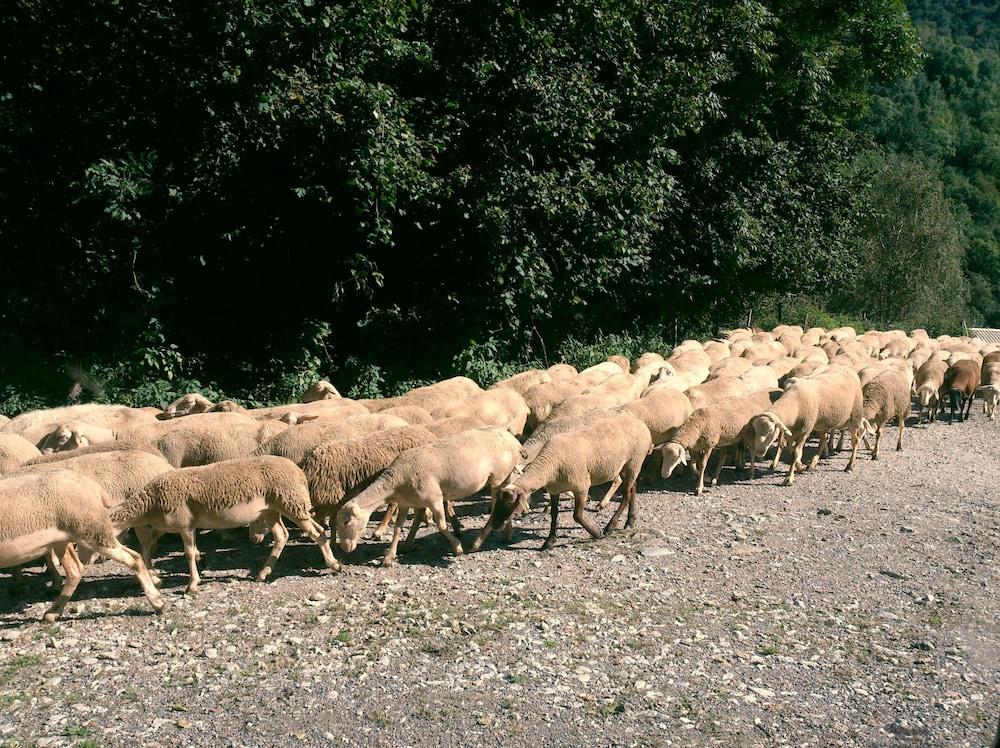 كازا رورال كان سولير دي روكابرونا منظر من الجو