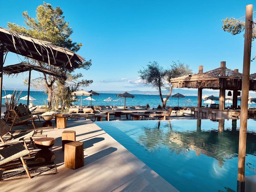 ماكو سي آند سويتس