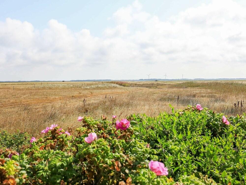 مودرن هوليداي هوم إن بوفلينجبييرج دينمارك وذ تيريس المنطقة المحيطة بالمنشأة