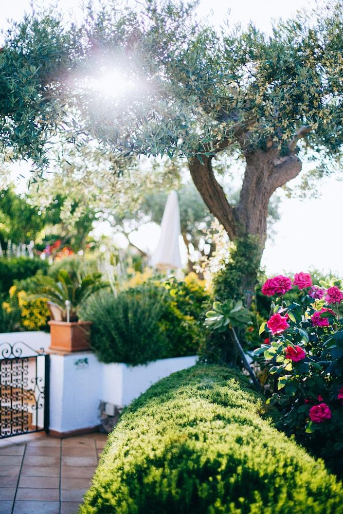 إيل جاردينو ديلا آرت - جيست هوتل المنطقة المحيطة بالمنشأة