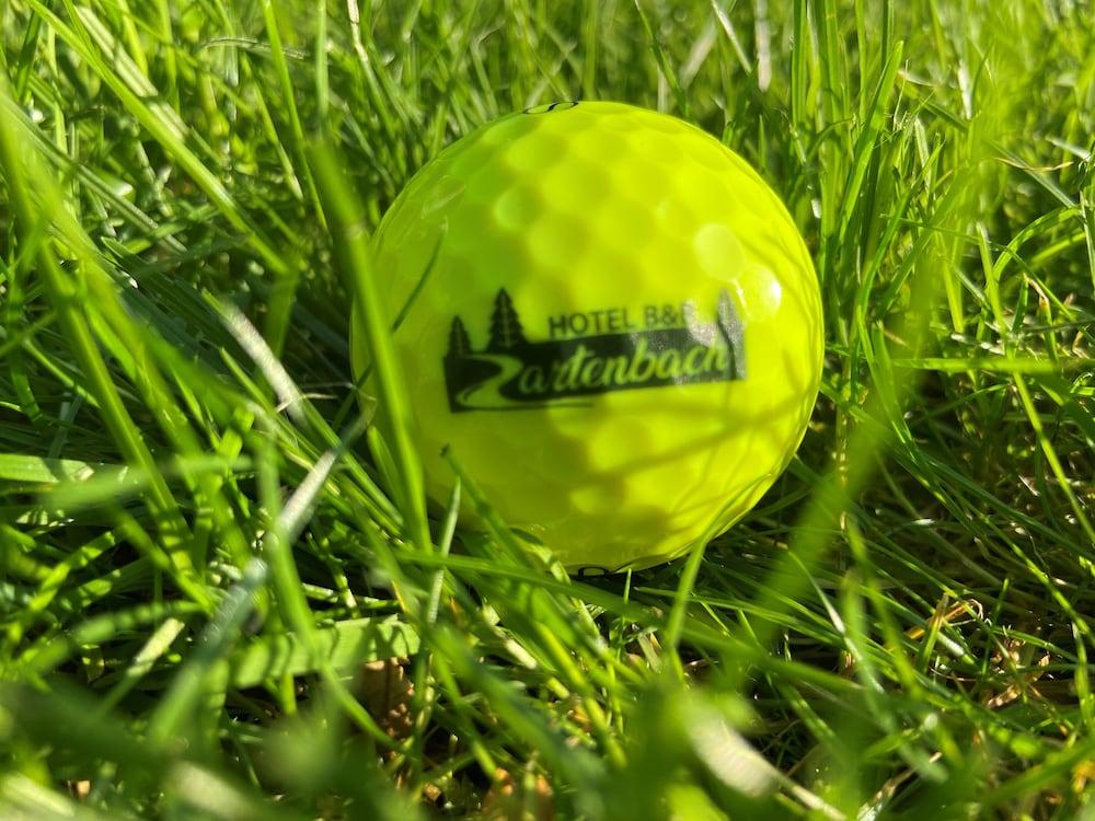 هوتل تسارتينباخ بد آند بريكفاست صالة رياضية