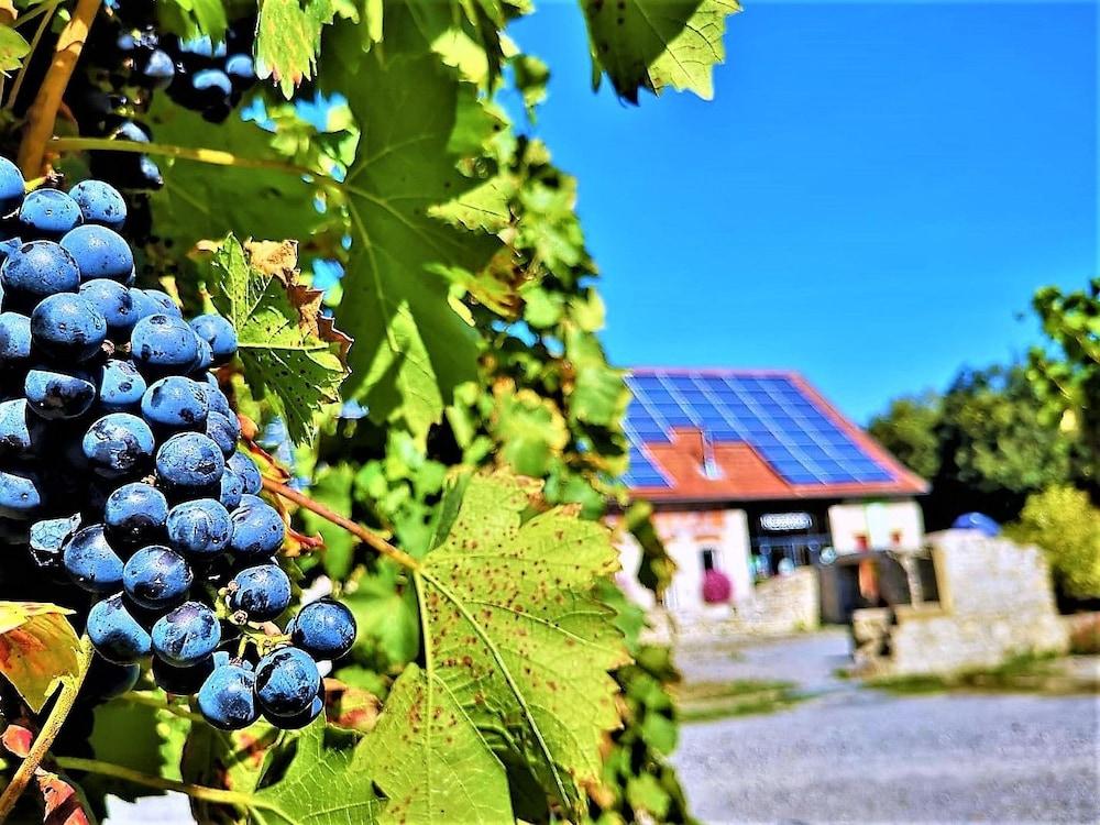 كامبينج شوابينمولا