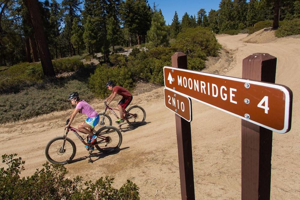 ناين باينز لودج 537 باي بيج بير فاكيشنز المنطقة الخارجية