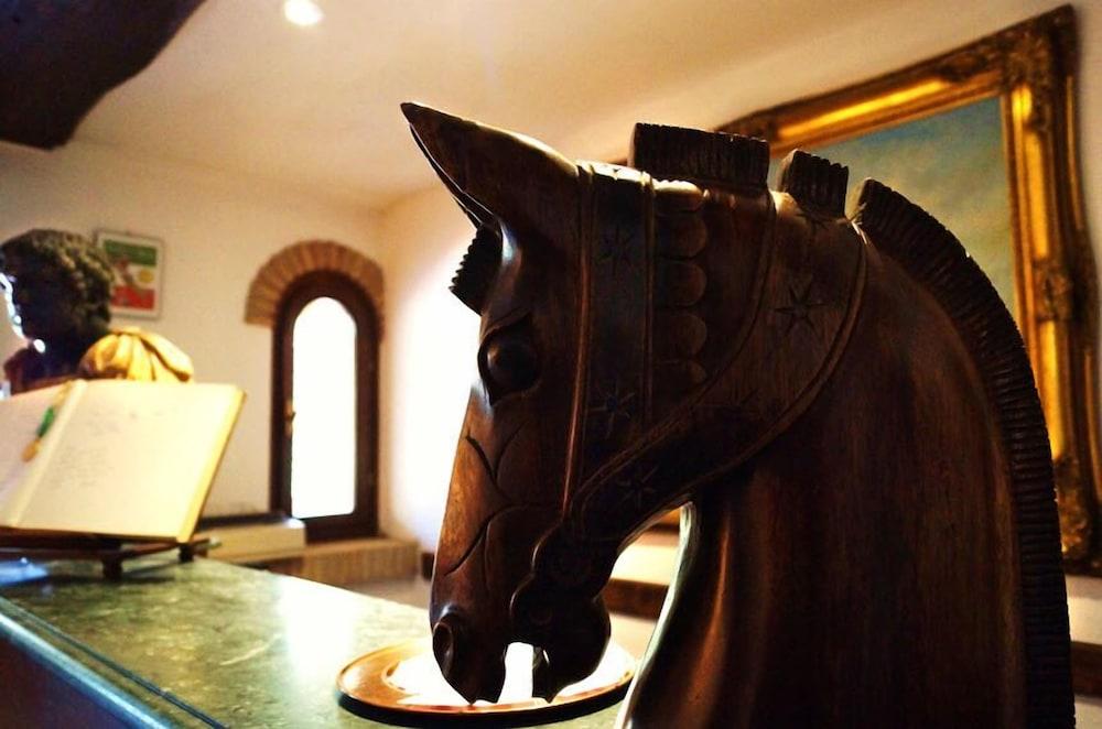 كنتري ريليه آي ديو لاجي