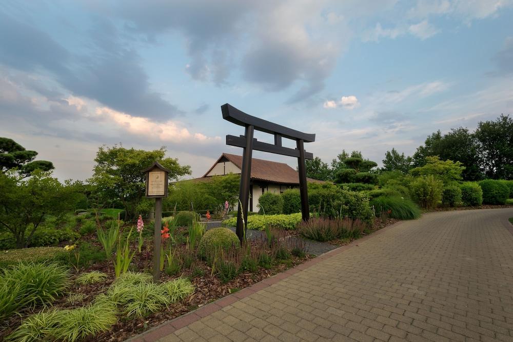 بالمير سي، هوتل · جولف · سبا المنطقة المحيطة بالمنشأة