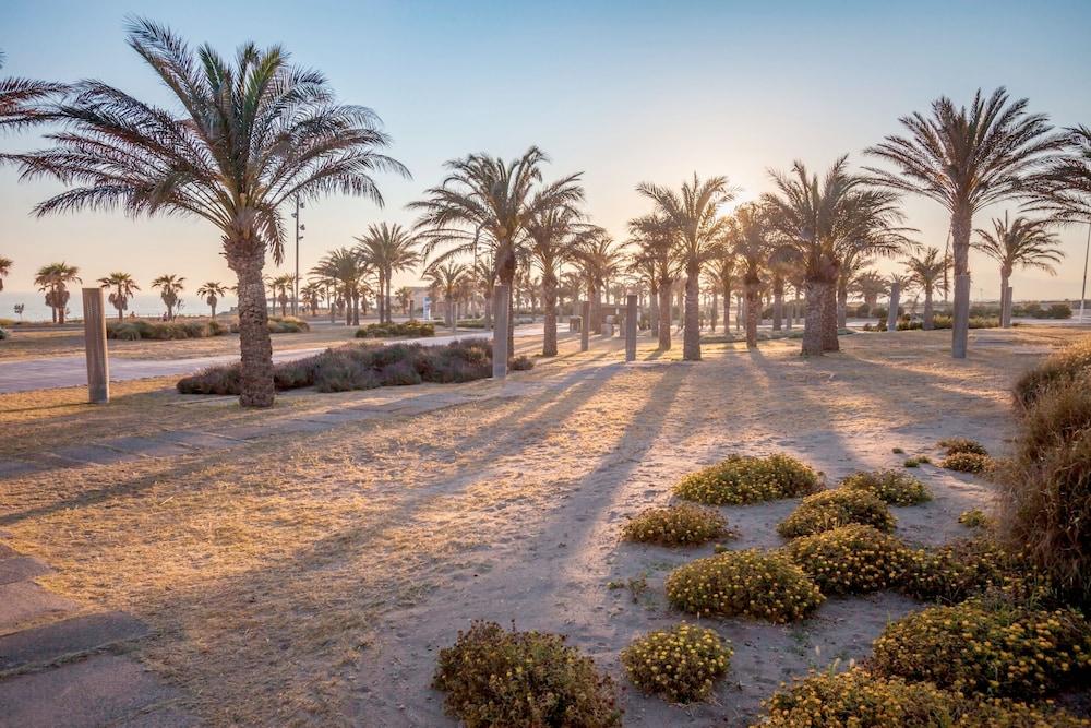 Barceló Cabo de Gata Property Grounds
