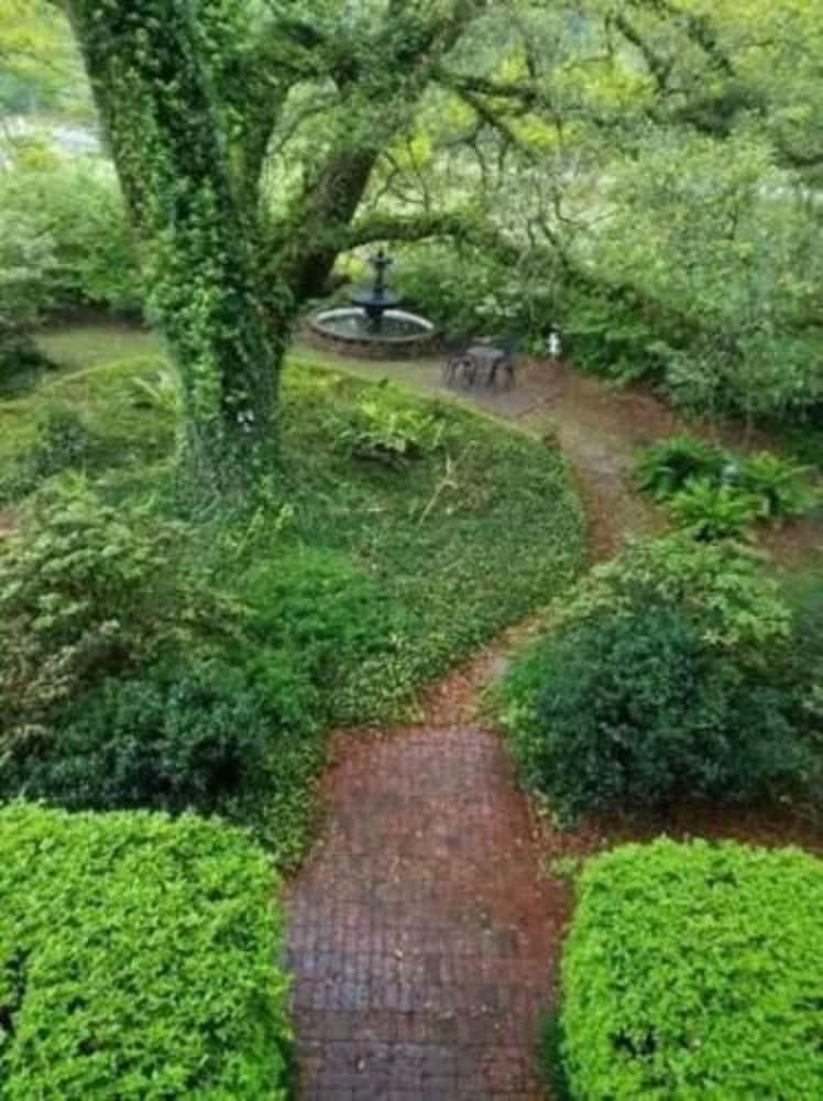 وودريدج بيد آند بريكفاست أوف لويزيانا المنطقة المحيطة بالمنشأة