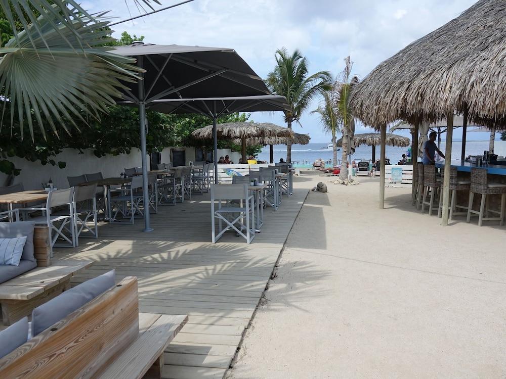 ستنينج أبارتمنت إن بلنيم ويذ برايفت تيراس المنطقة الخارجية