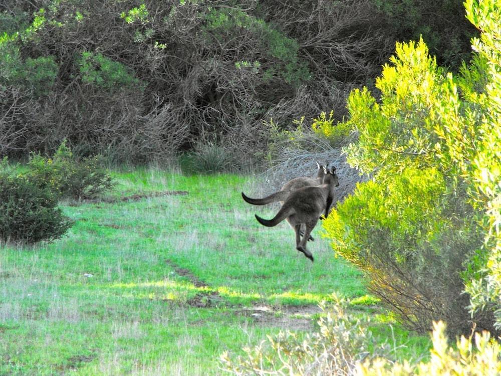 a Dune Escape Property Grounds
