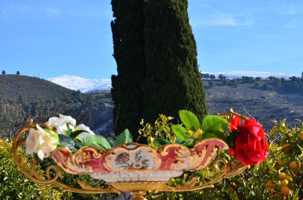 كاسا رورال بارادور ديل سيلو تفاصيل الفندق من الخارج