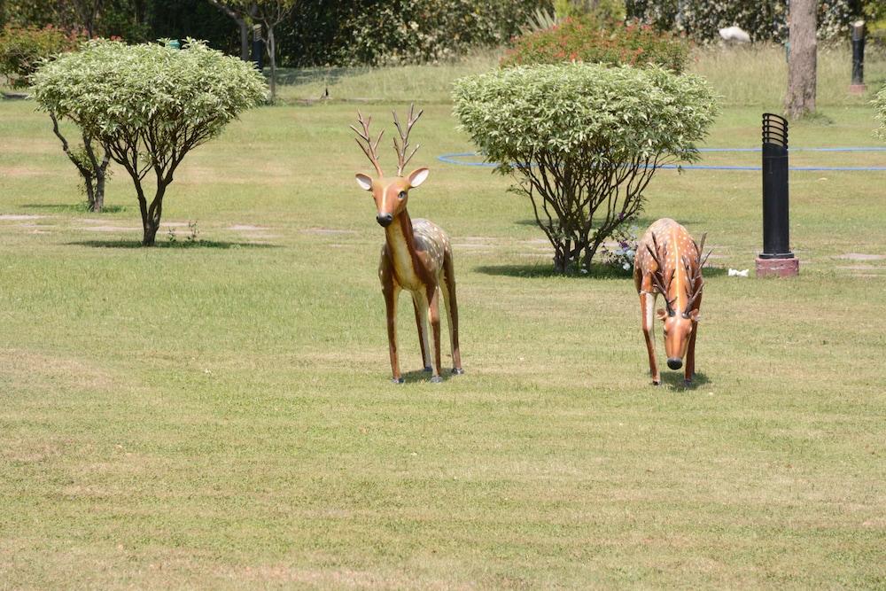 ناتورفيل أيورفيديك آند يوجا ريتريت باي أوبن سكاي المنطقة المحيطة بالمنشأة