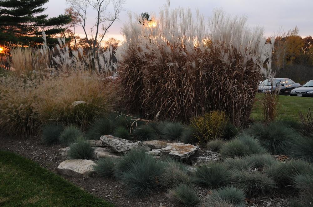 إلينوي بيتش هوتل آند كونفرانس سنتر، بي دبليو بريمير كوليكشن المنطقة المحيطة بالمنشأة