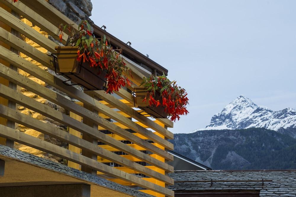 بد آند بريكفاست تيري أروماتيكي المنطقة الخارجية