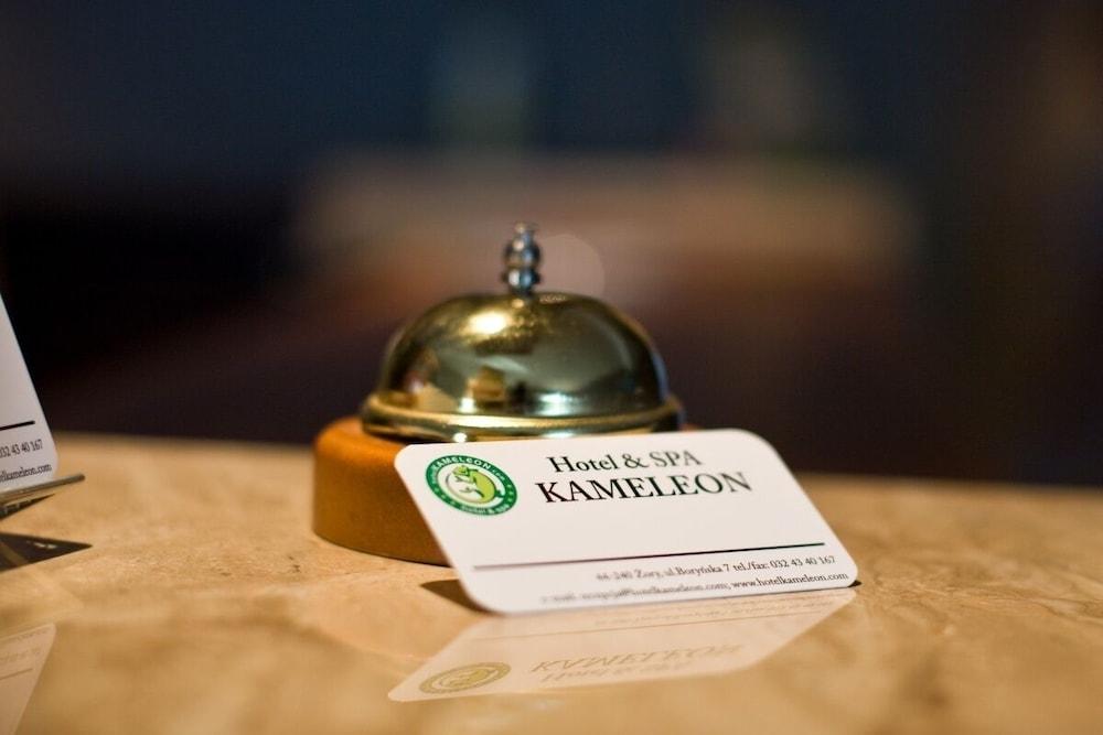 هوتل آند سبا كاميليون منطقة الاستقبال