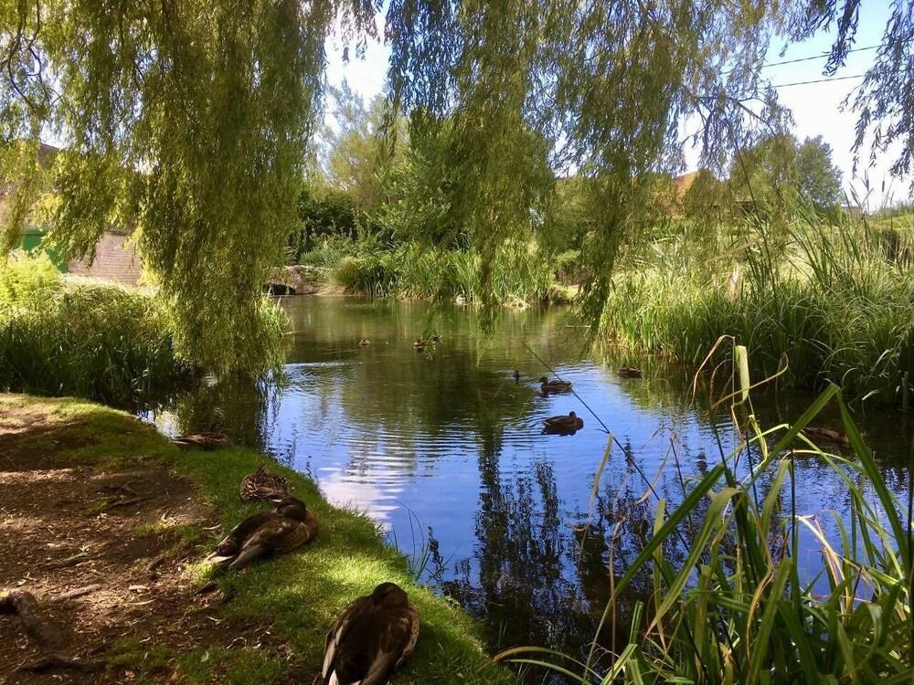 إيديليك ريفرسايد كوتيدج إن دورسيت المنطقة المحيطة بالمنشأة