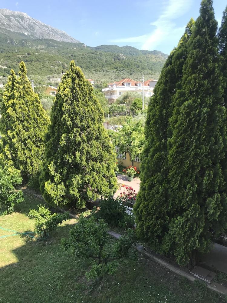 أبارتمنتس أولد أوليف المنطقة الخارجية