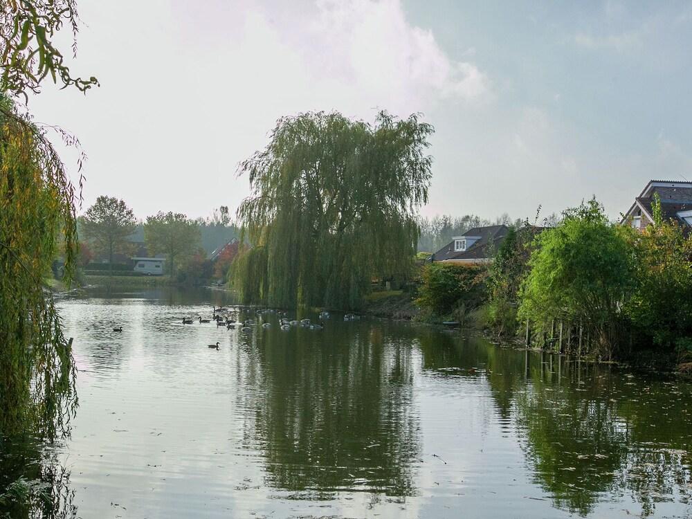 لافيش فيلا إن تزيفالدي ويذ سونا المنطقة الخارجية