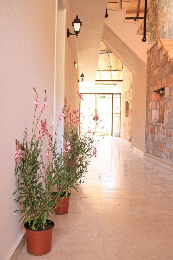 ليدي روز بوتيك بنسيون داخلي