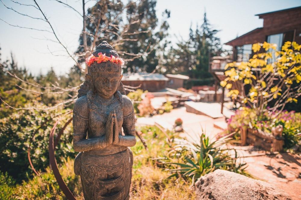 بونتا بالينا لودج المنطقة الخارجية