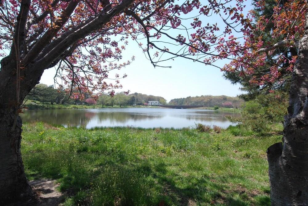 هينلوبين يونيت 506 باي لونج آند فوستر المنطقة المحيطة بالمنشأة