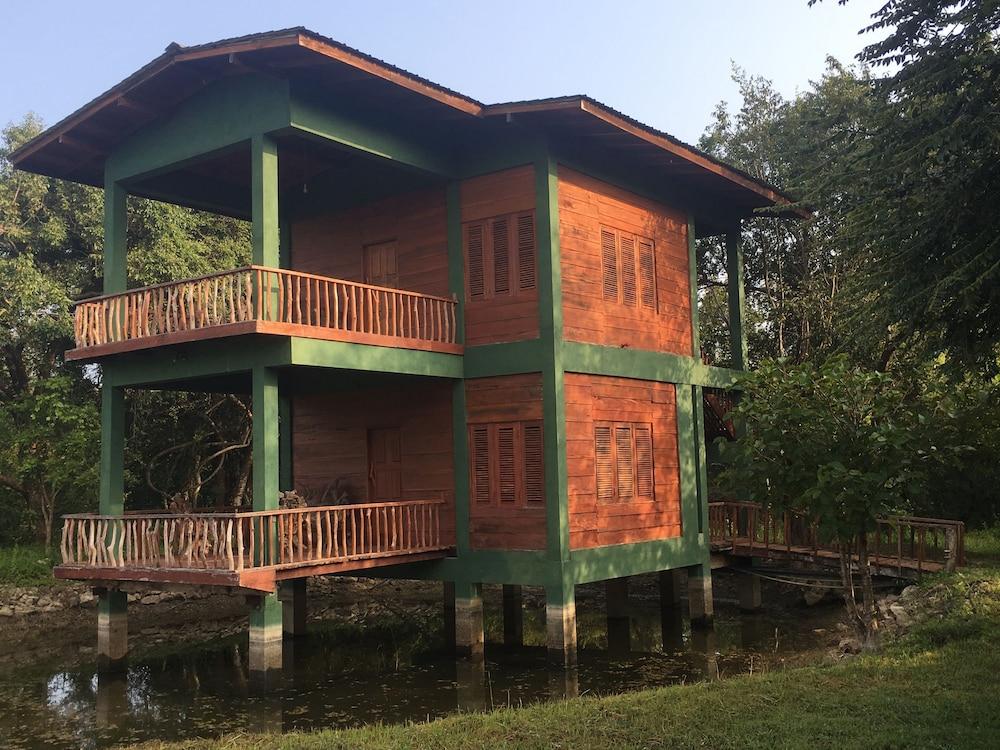 Elephant Hide by Cacao Exterior