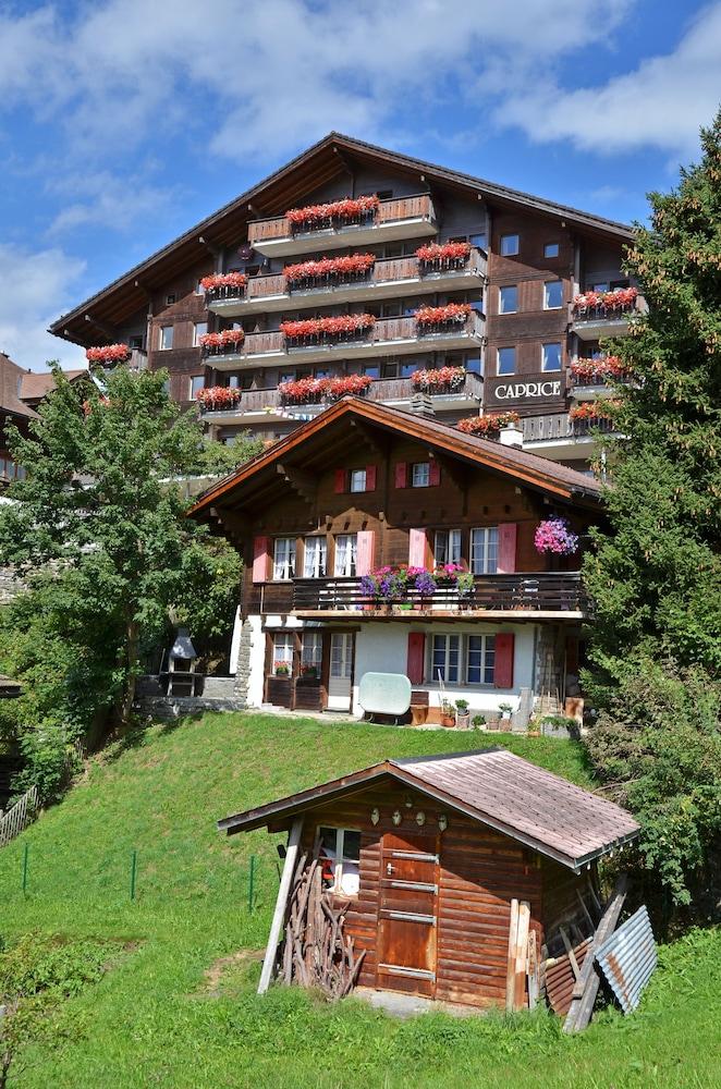 مايا كابريك بوتيك هوتل آند سبا المنطقة الخارجية