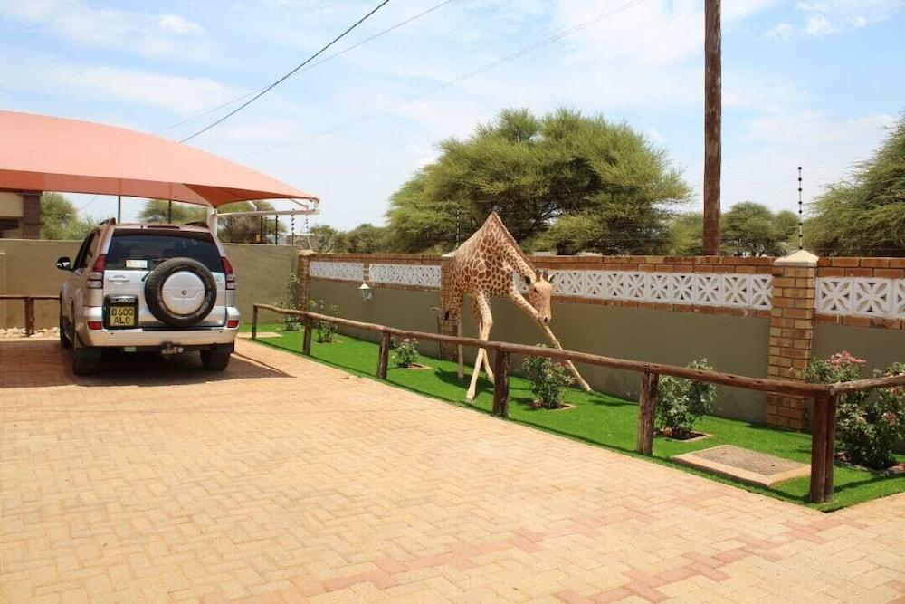 Overflow Guest House Property Grounds