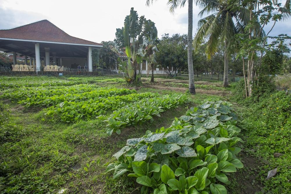 بيرل ريفر نيشن هوت سبرينج ريزورت المنطقة المحيطة بالمنشأة