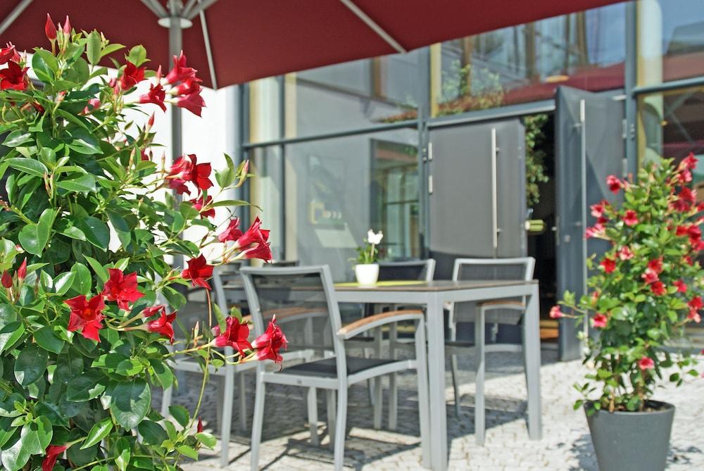 أوكولوجيشيس بيلدونجز تسنتروم كولتيفيرت سطح مشمس