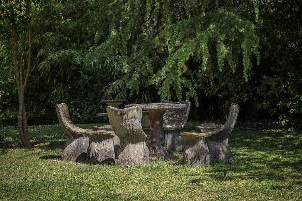 بي آند بياتو ليز أوركيدي سومور المنطقة الخارجية