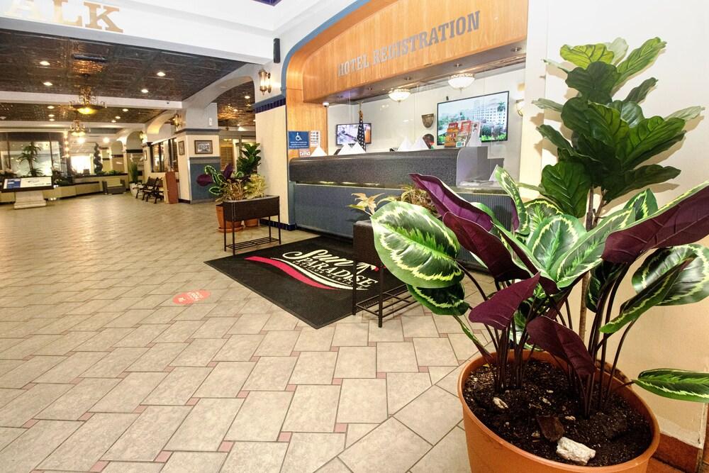 341 أبا تهوليوود بيتش تفاصيل الفندق من الخارج