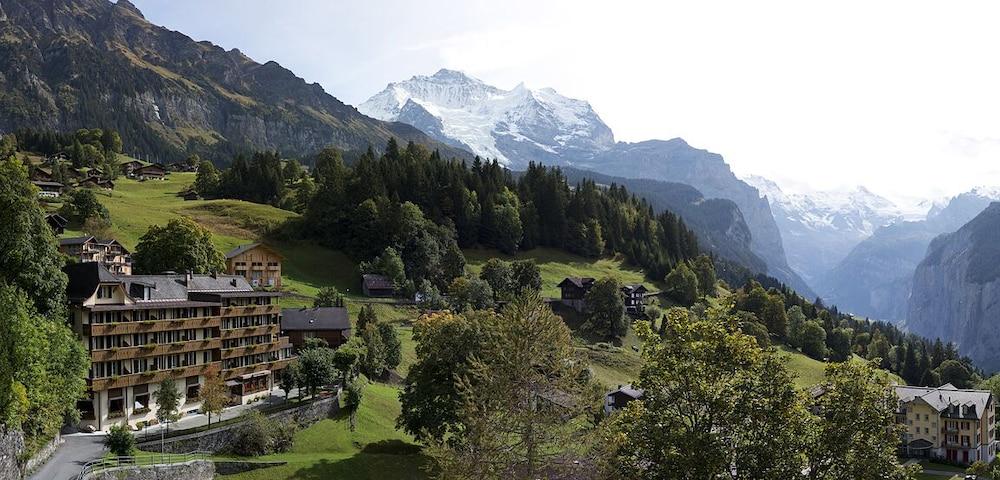 هوتل ألبينروز وينجين المنطقة الخارجية