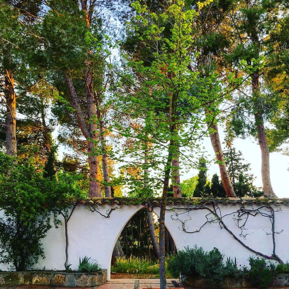 فيلاسيرا رومز آند واينز - لبالغين فقط المنطقة الخارجية