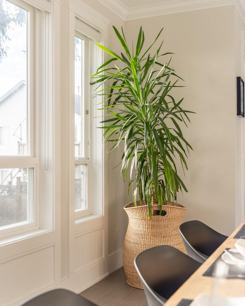 لاكشري هاوس ويذ 3 بد رومز آند 1 أوفيس تفاصيل الفندق من الداخل