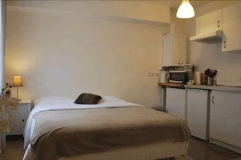 أبارتمنتس رونجي بارك إيكاد أورلي غرفة ضيافة