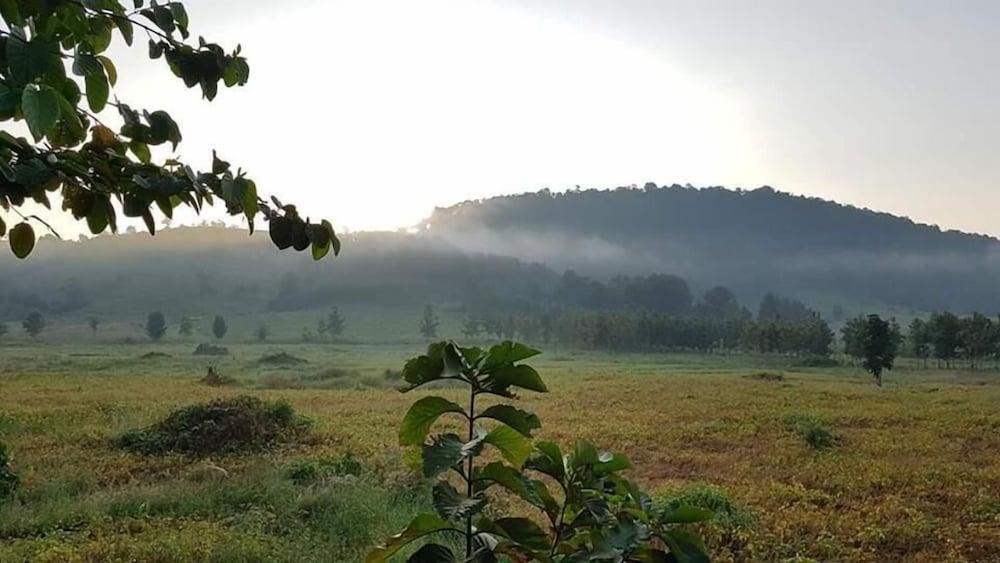 أوكسيجين هومز آند هيلز المنطقة المحيطة بالمنشأة