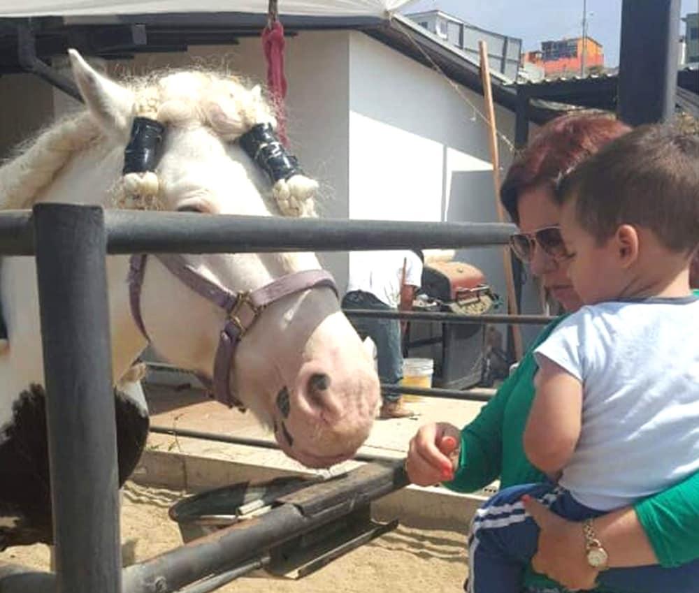 بورتو نوفو باجا هوتل آند فيلاز المنطقة الخارجية