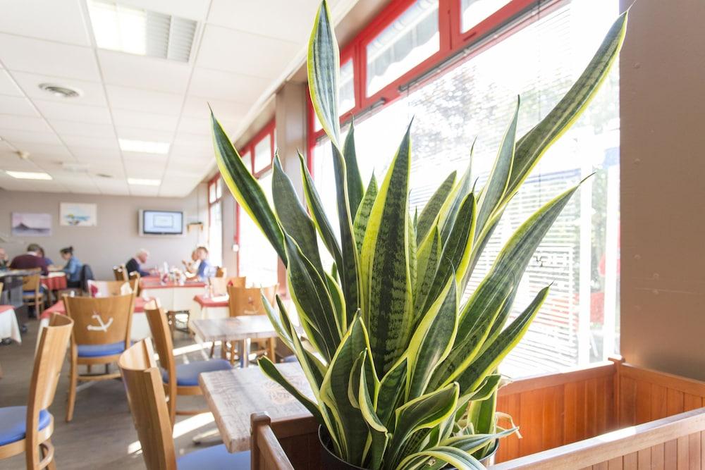 ليه جين دو مير لورين داخلي