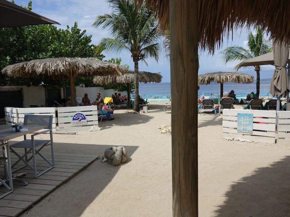 ستنينج أبارتمنت إن بلنيم ويذ برايفت تيراس المنطقة الخارجية