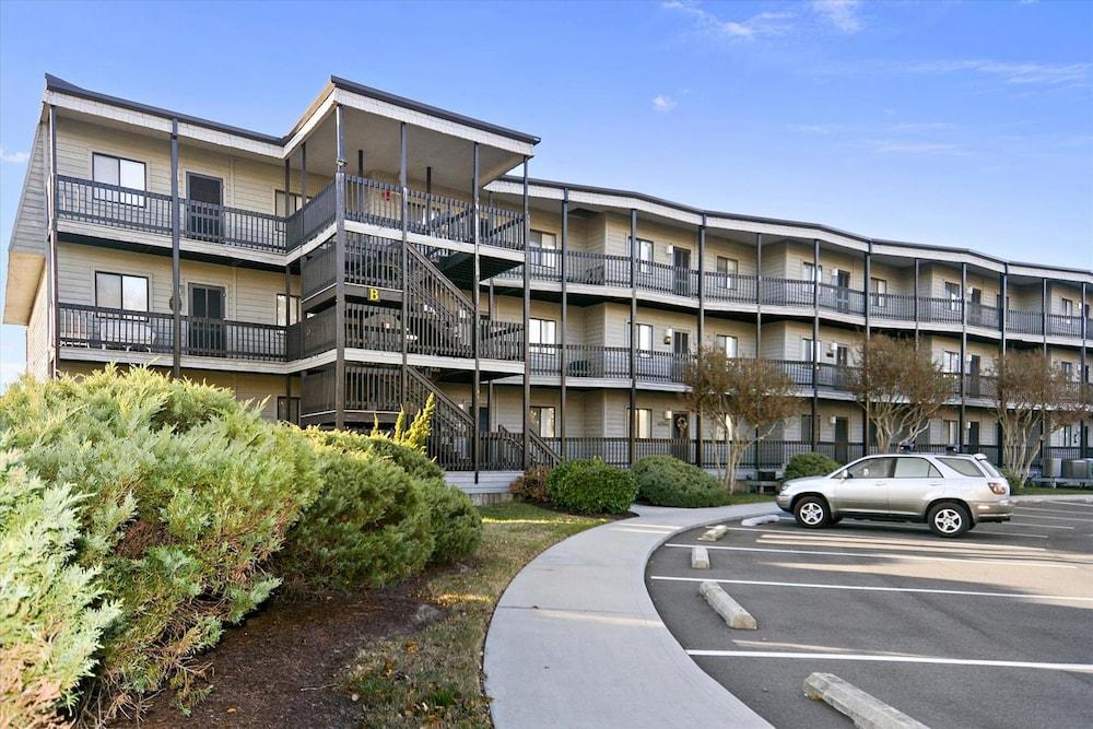 روبينز لين 18 نورث شورز باي لونج آند فوستر غرفة