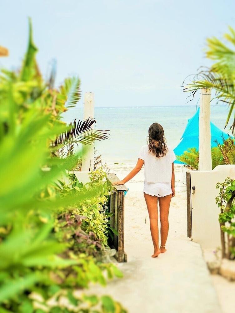 Villa - Right on the Beach, Under the Coconut Trees, Sleeps 10, Pool, Chef Featured Image