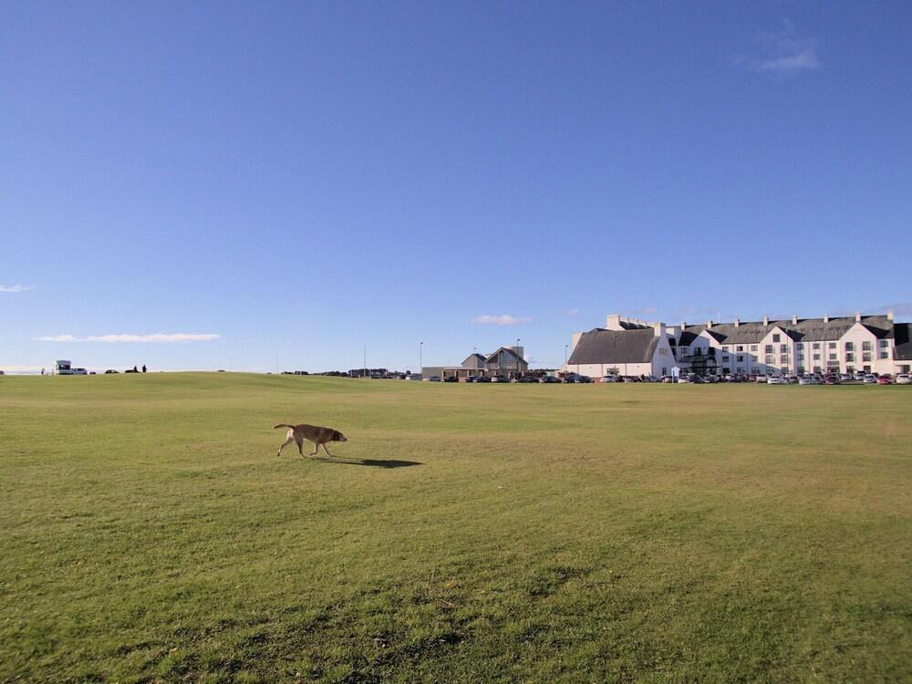 بريتي هوليداي هوم إن كارنوستي نير أربروث آبي المنطقة الخارجية