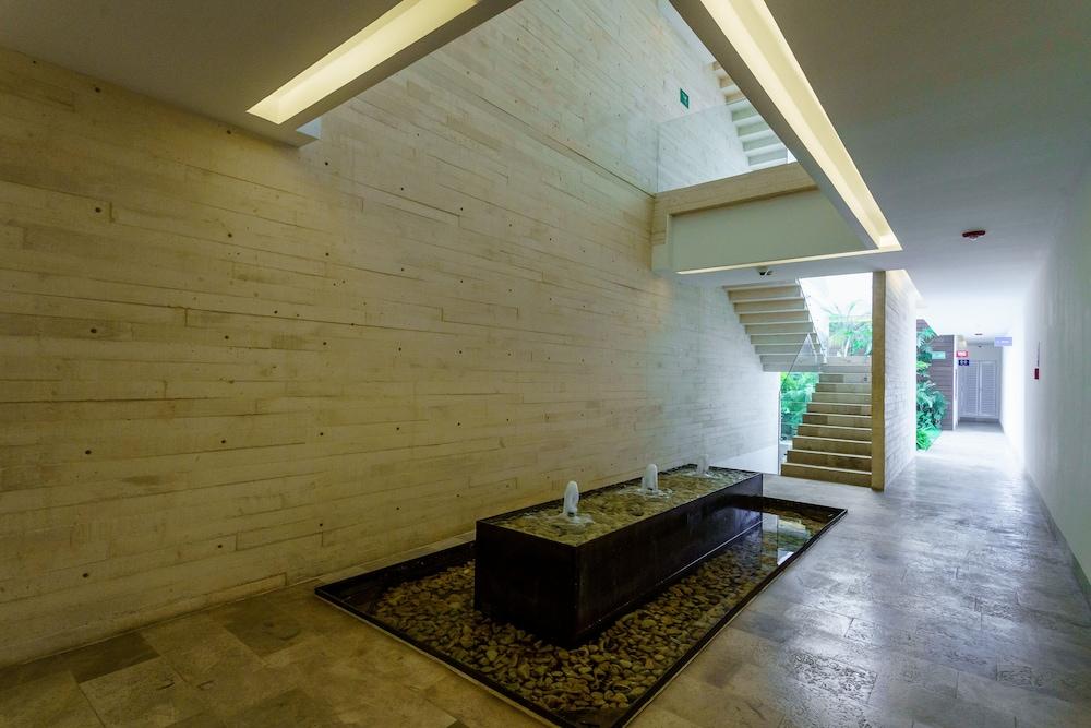 أوشيانا باي أبنا داخلي