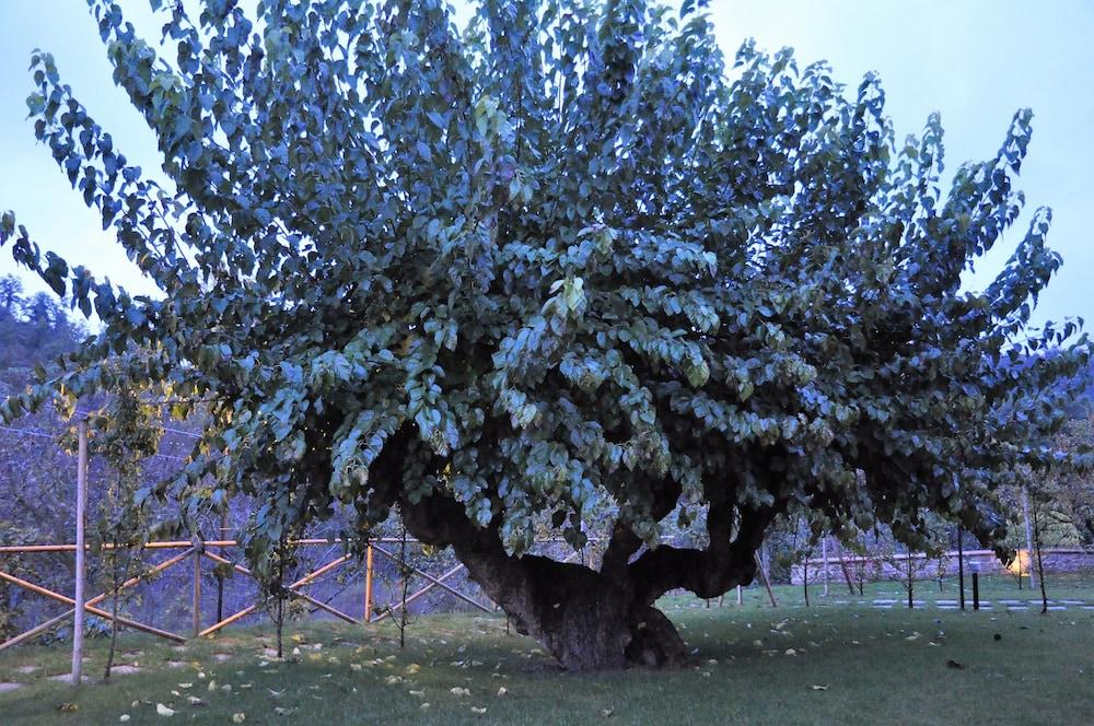 أجريتوريزمو آي جيلسي دي سانتا كريستينا المنطقة الخارجية