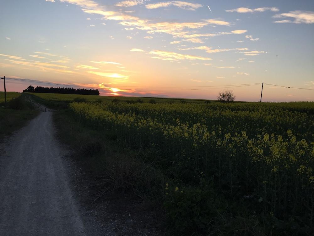 لا فيرمي ديه مولينو دو بايلي المنطقة الخارجية