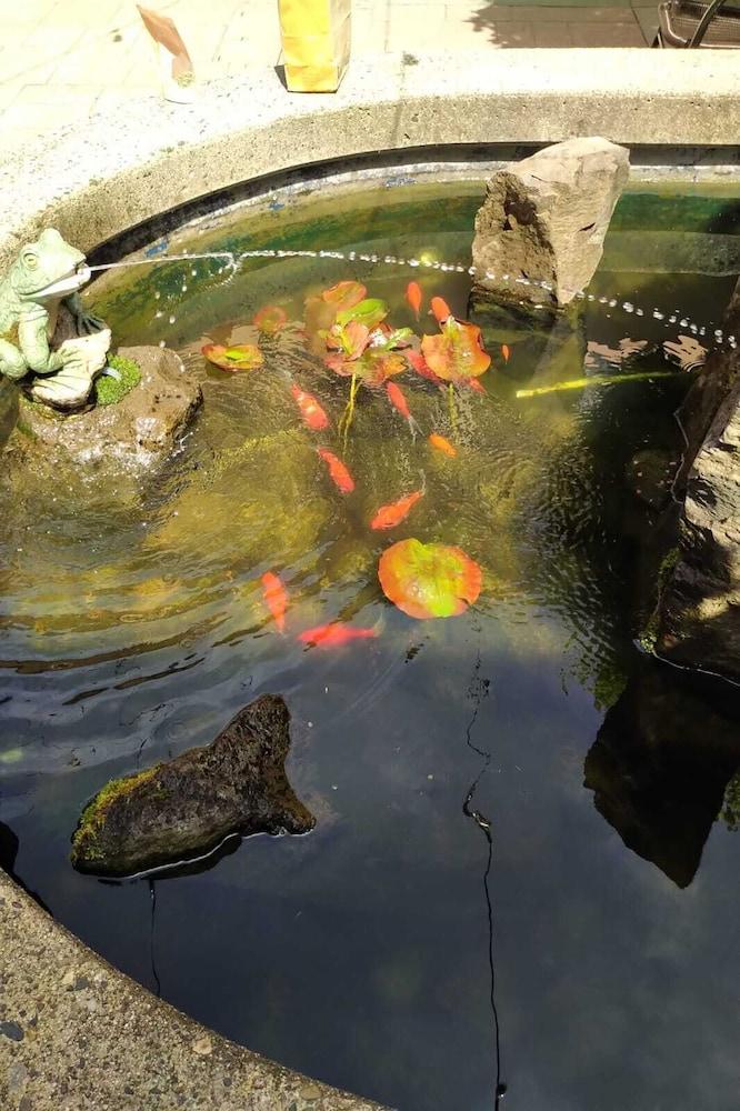 إيكونو لودج إن آند سويتس المنطقة الخارجية