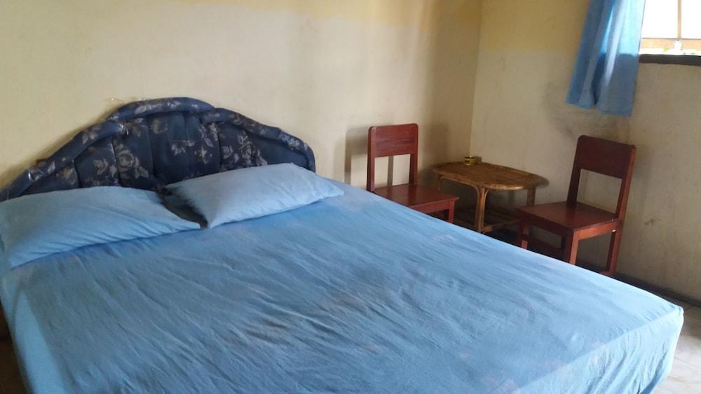 هوليداي بير