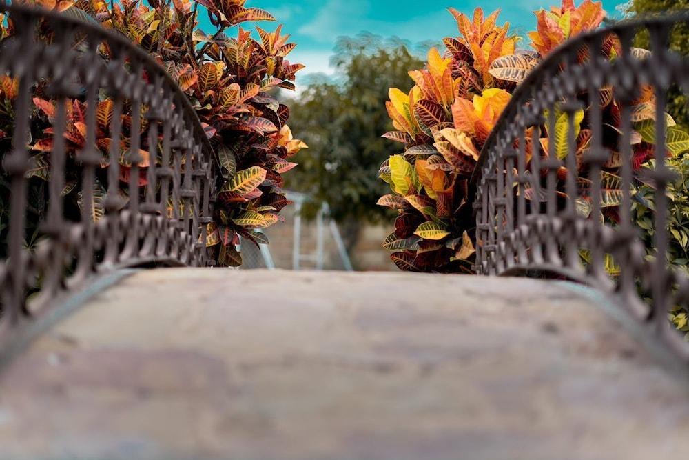 Forget about everything and relax Exterior detail