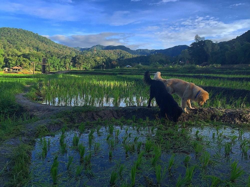 بولون بوري ريزورت منظر من الجو