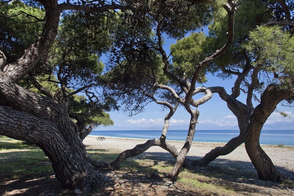 دافنيز كلوب هوتل آبارتمينتس الشاطئ